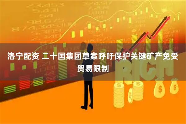 洛宁配资 二十国集团草案呼吁保护关键矿产免受贸易限制