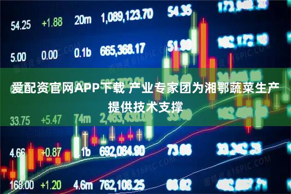 爱配资官网APP下载 产业专家团为湘鄂蔬菜生产提供技术支撑